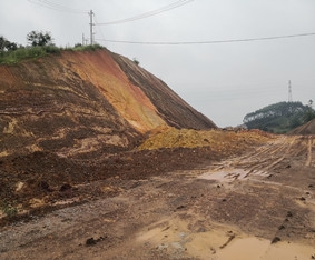 信都至梧州高速公路一期工程项目取土场使用林地可行性报告编制服务